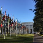 HRC43: Oral statement during the Interactive Dialogue with the Special Rapporteur on Counter Terrorism and Human Rights