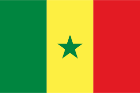 Senegal: COVID-19 response violates rights - Civic Space