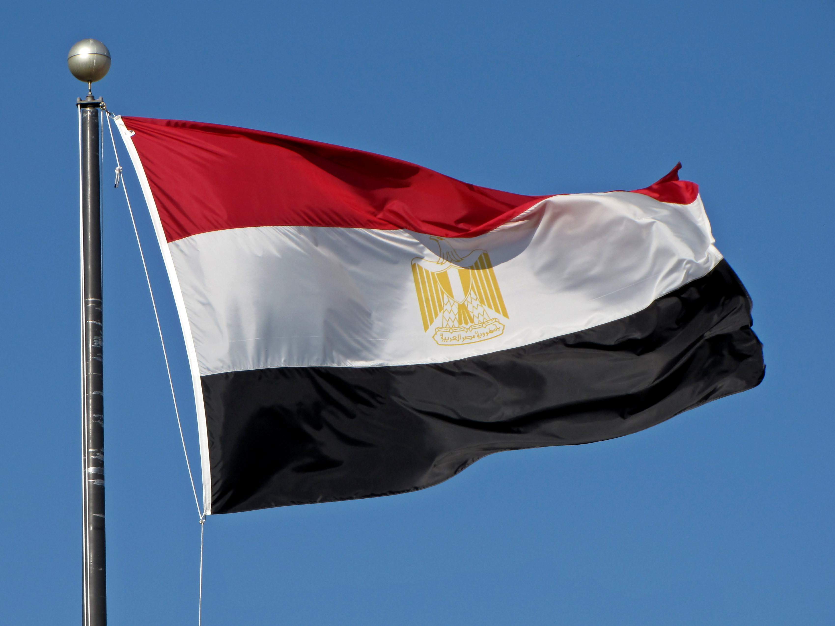 Egypt: End transnational repression against exiled journalist Basma Mostafa