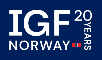 ARTICLE 19 at the Internet Governance Forum 2025 - ARTICLE 19